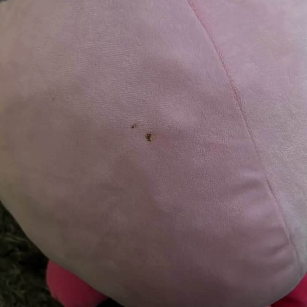 Octopus Squishmallow - Picture 3 of 4